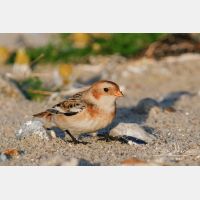 3139 x 2093_Px _RM_061025_MG_4171.jpg