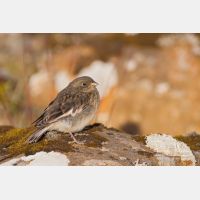 3282 x 2188_Px _RM_070716_MG_8742.jpg