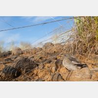 3334 x 2223_Px _RM_070716_MG_8521.jpg