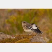 3349 x 2232_Px _RM_070716_MG_8732.jpg