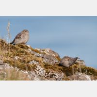 3504 x 2336_Px _RM_070702_MG_3566.jpg