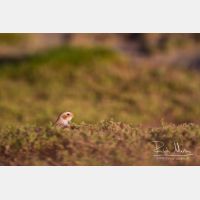 4305 x 2870_Px _RM_120925_MG_3163.jpg