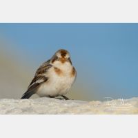 4329 x 2886_Px _RM_120103_MG_1796.jpg