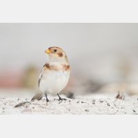 4344 x 2896_Px _RM_131015_MG_7702.jpg