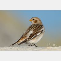 4444 x 2963_Px _RM_120103_MG_1840.jpg