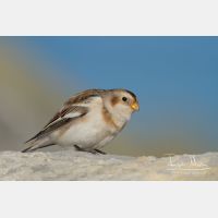 4519 x 3012_Px _RM_120103_MG_1809.jpg