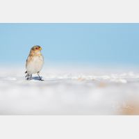 4522 x 3015 Px   _RM_200106_D2_0068.jpg