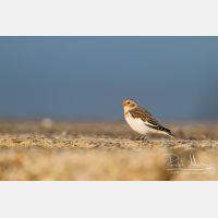 4546 x 3031_Px _RM_131015_MG_8064.jpg