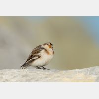 4555 x 3037_Px _RM_120103_MG_1784.jpg