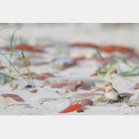 4635 x 3090_Px _RM_141014_MG_4346.jpg