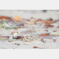 4636 x 3091_Px _RM_141014_MG_4348.jpg