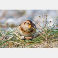 4640 x 3093_Px _RM_120929_MG_6097.jpg