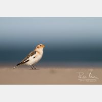 4682 x 3121_Px _RM_131018_MG_0464.jpg