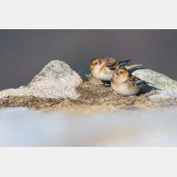 4720 x 3146 Px   _RM_200106_D2_0363.jpg