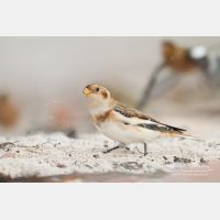 4748 x 3165_Px _RM_131015_MG_7734.jpg