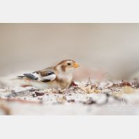 4783 x 3188_Px _RM_131015_MG_7767.jpg