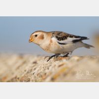 4804 x 3203_Px _RM_131018_MG_0768.jpg