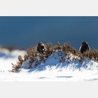 4816 x 3210 Px   _RM_200106_D2_0027.jpg