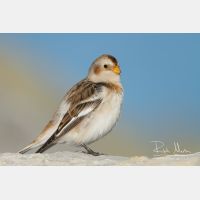 4925 x 3283_Px _RM_120103_MG_1837.jpg