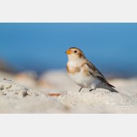 4954 x 3303_Px _RM_141014_MG_4507.jpg