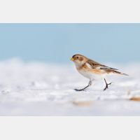 4980 x 3320 Px   _RM_200106_D2_0184_b.jpg