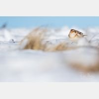 5060 x 3373 Px   _RM_200106_D2_0864.jpg