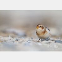 5092 x 3395_Px _RM_131016_MG_8203.jpg