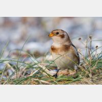 5103 x 3402_Px _RM_120929_MG_6127.jpg