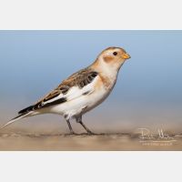 5106 x 3404_Px _RM_131018_MG_0773_b.jpg