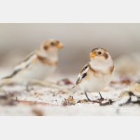 5184 x 3456_Px _RM_131015_MG_7797.jpg