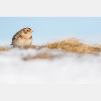 5203 x 3469 Px   _RM_200106_D2_0700.jpg