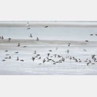 5472 x 3078_Px _RM_141225_MG_4065.jpg