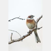 3622 x 5433_Px _RM_170610_MG_0420.jpg