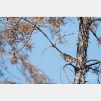 4473 x 2982_Px _RM_170610_MG_0547.jpg