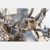 4626 x 3084_Px _RM_170610_MG_0295.jpg