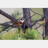 4654 x 3103 Px   _RM_190607_D2_7103.jpg