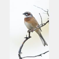 4711 x 7067_Px _RM_170610_MG_0352-Pano_b.jpg