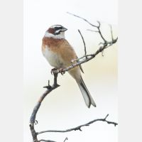 4835 x 7253_Px _RM_170610_MG_0359-Pano_b.jpg