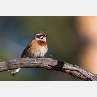 5059 x 3373 Px   _RM_190607_D2_7299.jpg