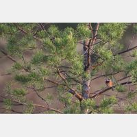 5472 x 3648 Px   _RM_190607_D2_7198.jpg