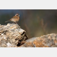 5472 x 3648 Px   _RM_190607_D2_7269.jpg