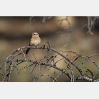 5472 x 3648 Px   _RM_190607_D2_7307.jpg