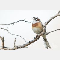 5472 x 3648_Px _RM_170610_MG_0409.jpg