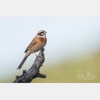 8886 x 5924_Px _RM_170610_MG_0366_b.jpg