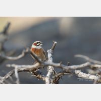 9210 x 6140_Px _RM_170610_MG_0274-Pano_b.jpg