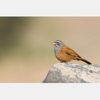 4165 x 2777_Px _RM_140221_MG_9277.jpg