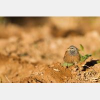 4403 x 2935_Px _RM_140227_MG_5554.jpg