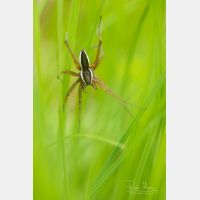 4480 x 6720 Px   _RM_190618_D4_0697.jpg