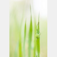 4480 x 6720 Px   _RM_190602_D4_3611.jpg