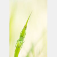 4480 x 6720 Px   _RM_190602_D4_3631.jpg